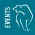 Berlin Institute SCM Events