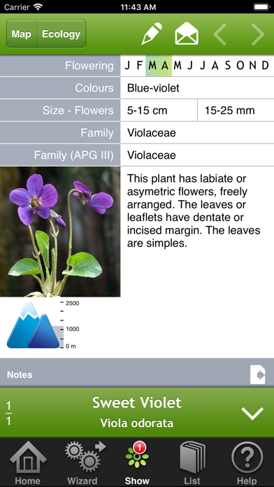 Wild-flowers Screenshots