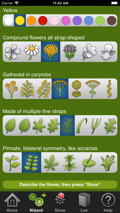 Wild-flowers Screenshots