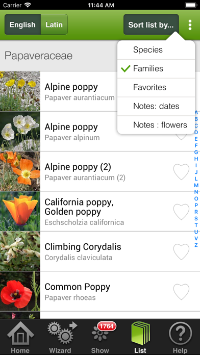 Wild-flowers Screenshots