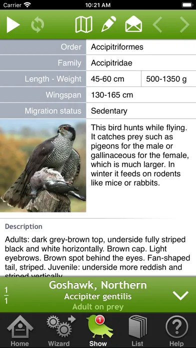 Captures d'écran de Birds of Britain and Europe