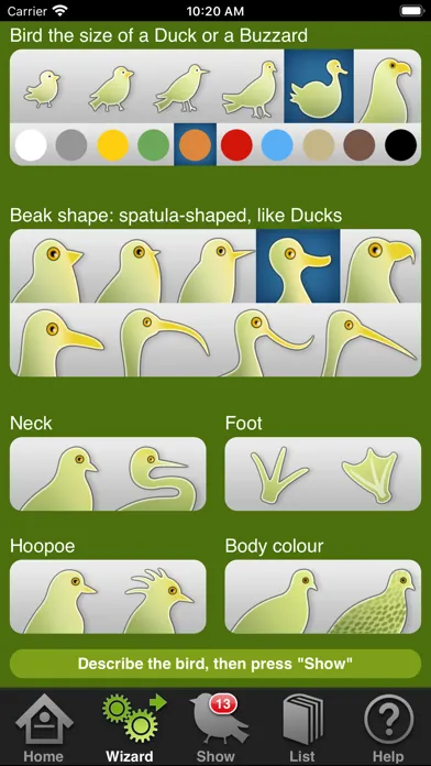 Captures d'écran de Birds of Britain and Europe
