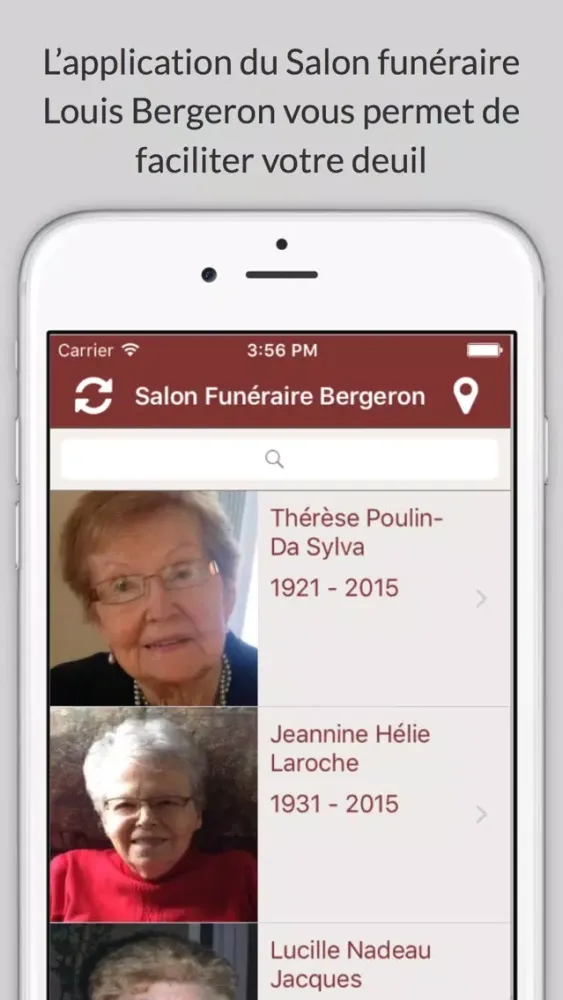 Salon funéraire Louis Bergeron Screenshots