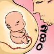 胎教故事280篇有声版 - 随身宝典系列,也用作儿童睡前童话小故事,最新最科学的经典现代有声阅读精选,和音乐一样助宝宝更聪明健康，让你怀孕期更轻松