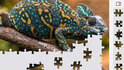 Jigsaw Puzzles Animals Ekran Görüntüleri