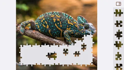 Jigsaw Puzzles Animals Ekran Görüntüleri