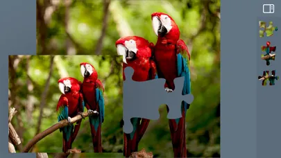 Jigsaw Puzzles Animals Ekran Görüntüleri