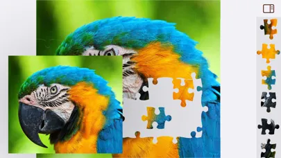 Jigsaw Puzzles Animals Ekran Görüntüleri