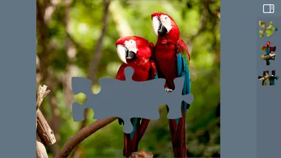 Jigsaw Puzzles Animals Ekran Görüntüleri