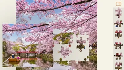 Jigsaw Puzzles History Ekran Görüntüleri