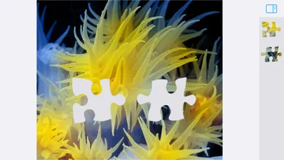 Jigsaw Puzzles Underwater স্ক্রিনশট