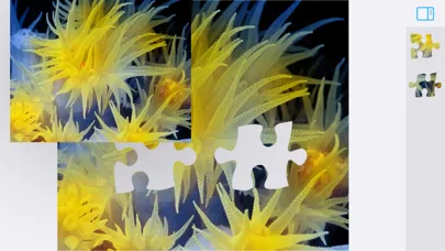 Jigsaw Puzzles Underwater স্ক্রিনশট