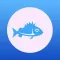 Fresh fish select