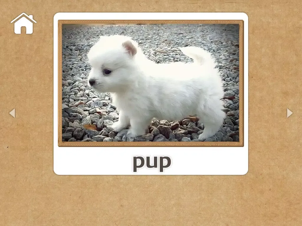 صور Chip Chip Sound Zoo iPad 