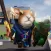 Run! Animal Soldier!!