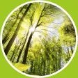Relaxing music - calming music Relaxing music - calming music