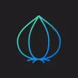 Onion Cam Onion Cam
