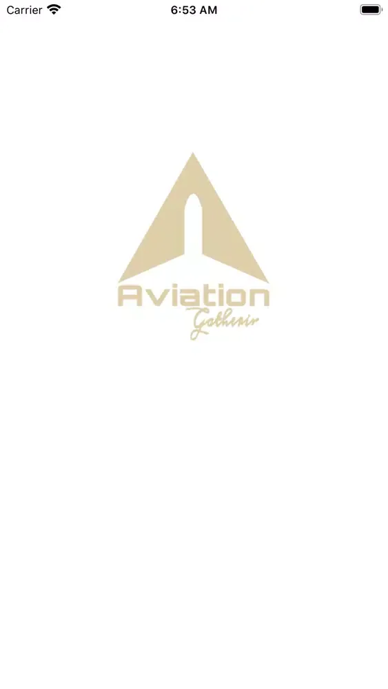 Aviation Gathering Screenshots