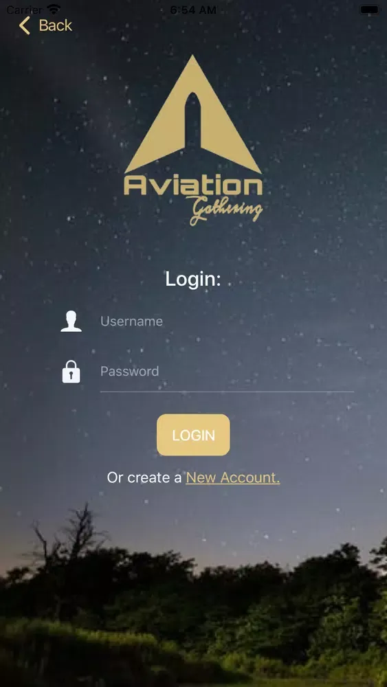 Aviation Gathering Screenshots