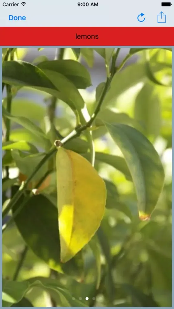 Ảnh chụp màn hình của MediaNotes - the notes evolution