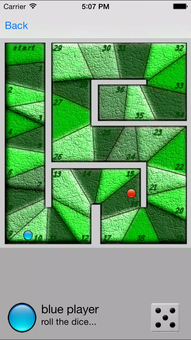 Truth Goose Game - the game of truth应用截图