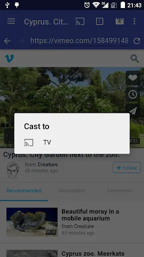 تصاویر ReCaster - online videos to an