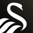 Swansea City Swansea City
