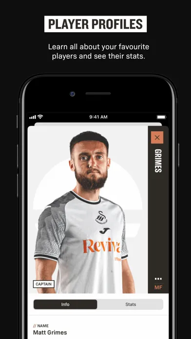تصاویر Swansea City