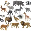 Guess Animals Quiz Game Guess Animals Quiz Game