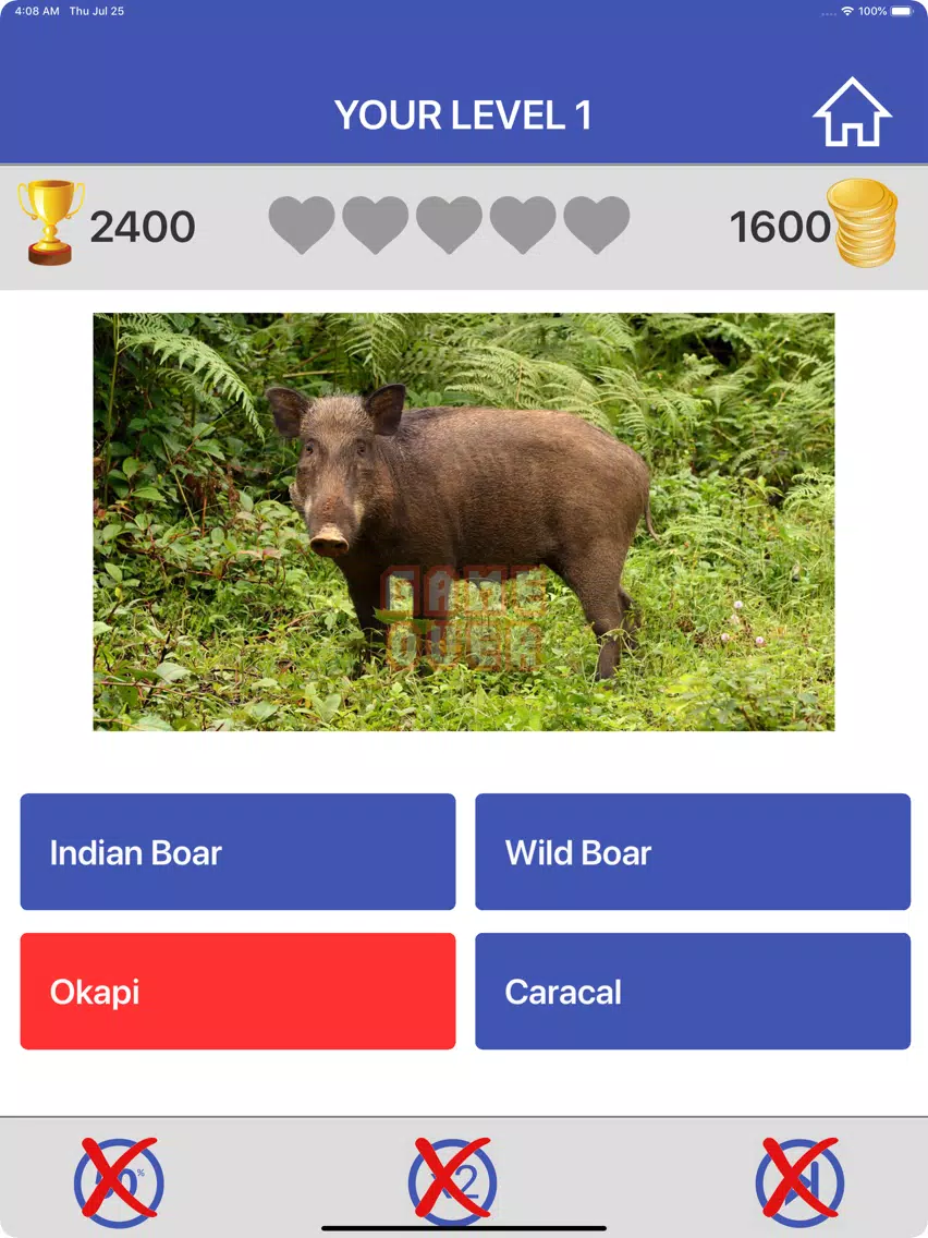 Guess Animals Quiz Game iPad  스크린샷
