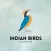 Indian Birds