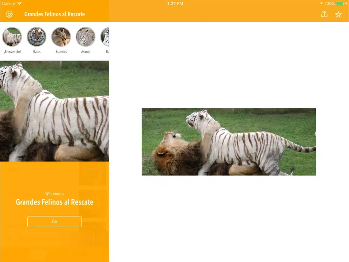 Grandes Felinos al Rescate iPad  سکرین شاٹس