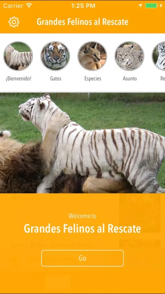 Grandes Felinos al Rescate سکرین شاٹس