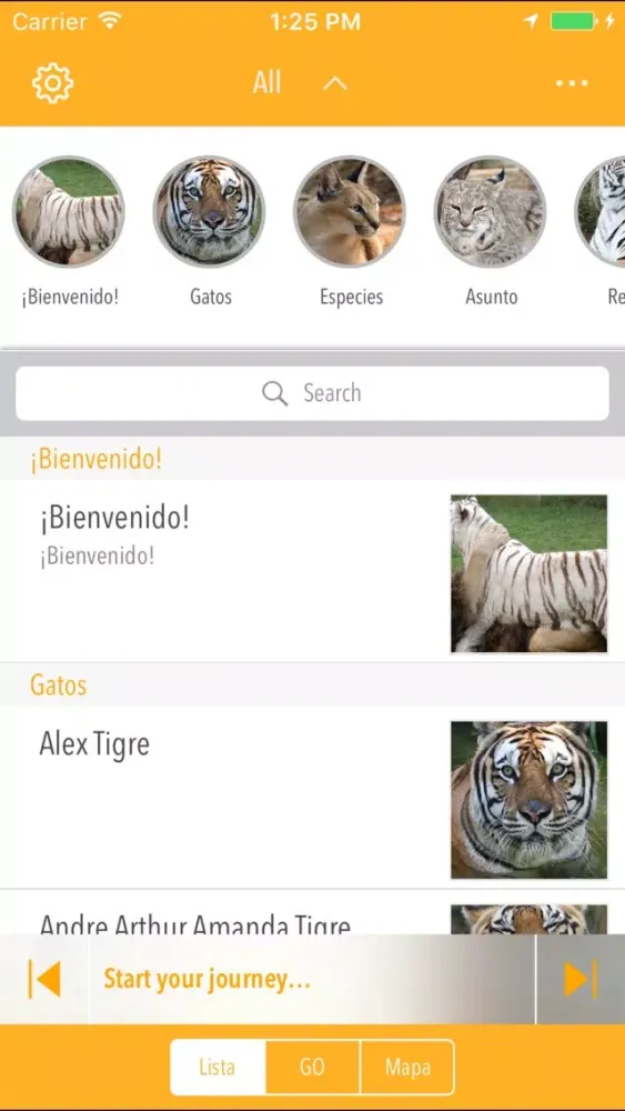 Grandes Felinos al Rescate سکرین شاٹس