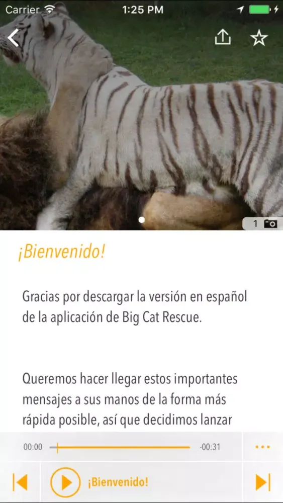 Grandes Felinos al Rescate سکرین شاٹس