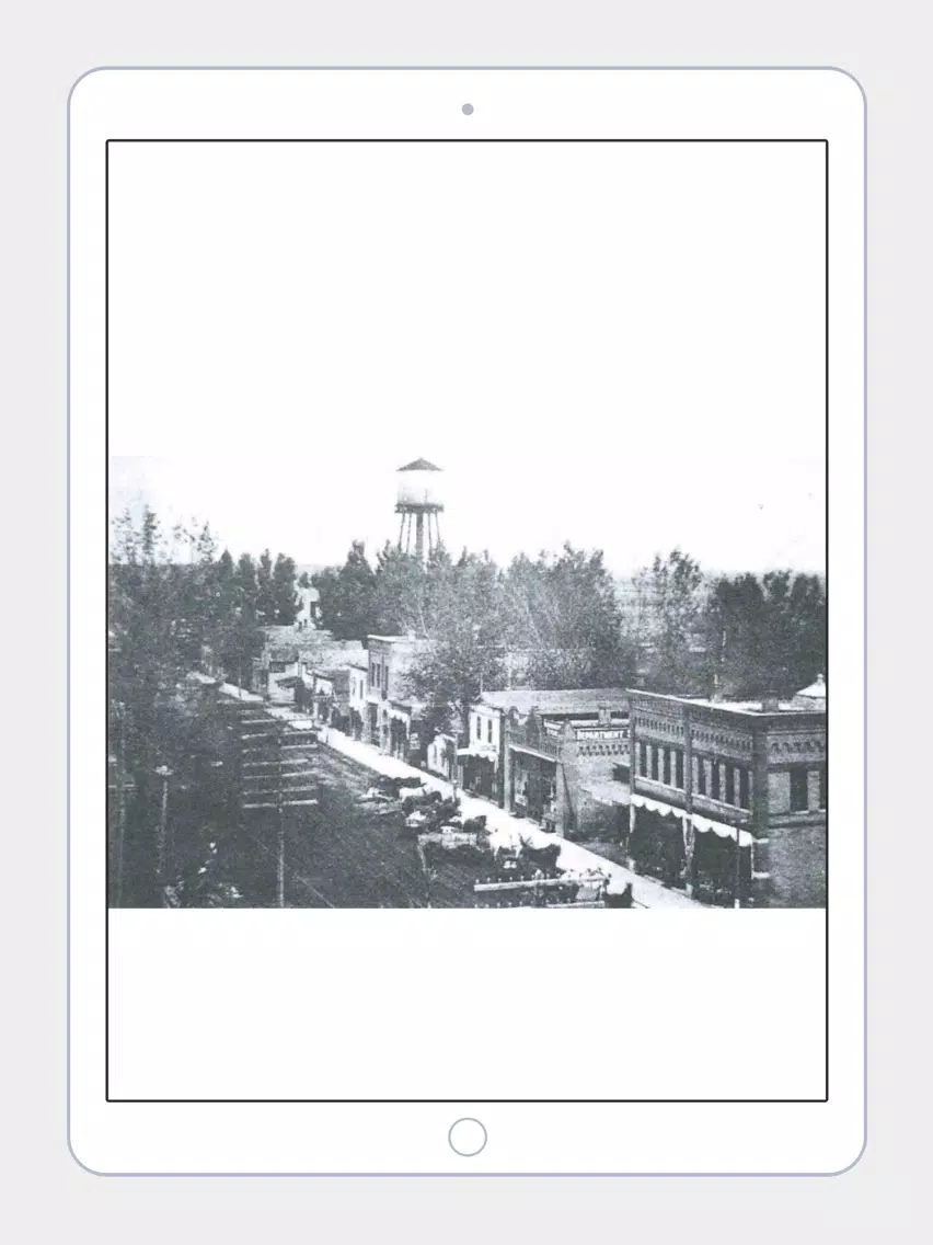 Скриншоты City of Gibbon, MN iPad 