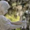 Bonaventure Cemetery Tour