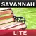LITE: Savannah Walking Tour