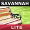 LITE: Savannah Walking Tour