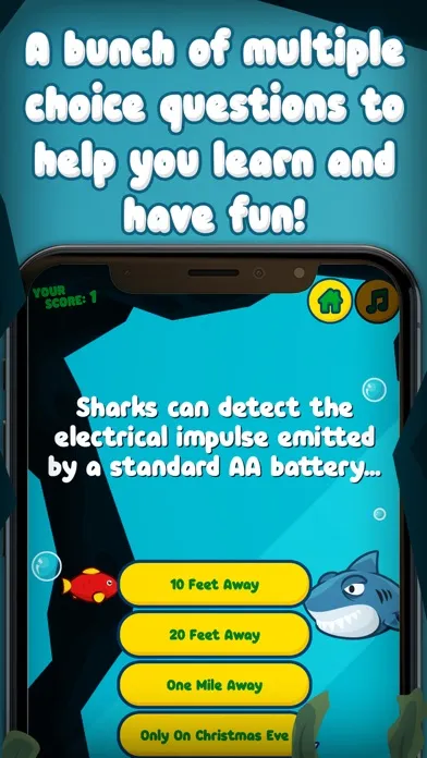 Shark Trivia! スクリーンショット