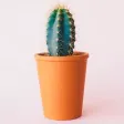 Plant Care App