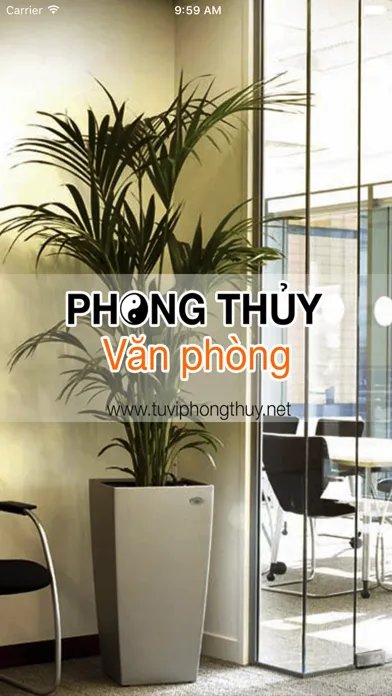 Tangkapan layar Phong Thuy Van Phong