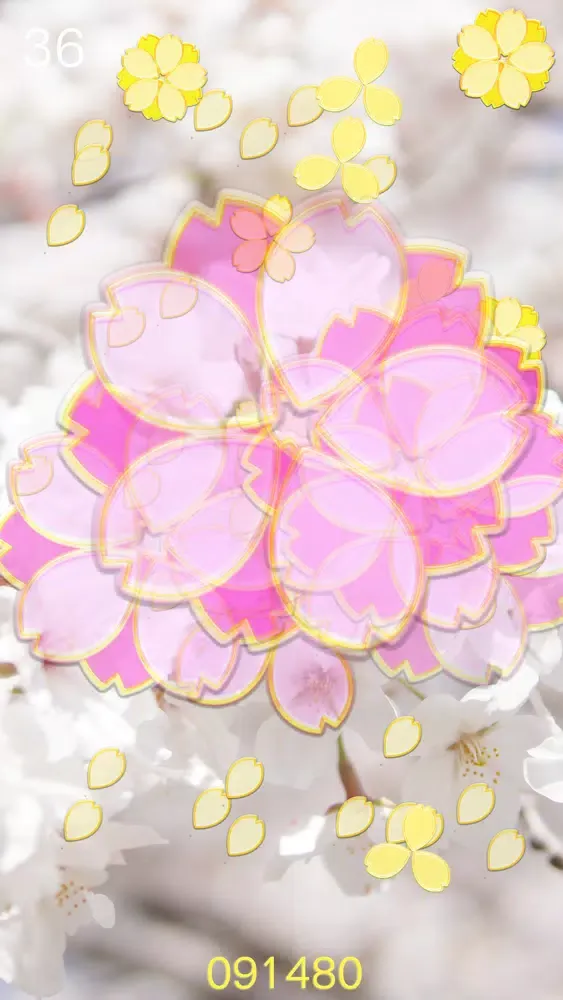 Captures d'écran de SAKURA FESTA