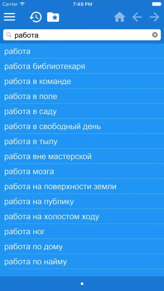 Screenshot di Russian Chinese Simplified dictionary