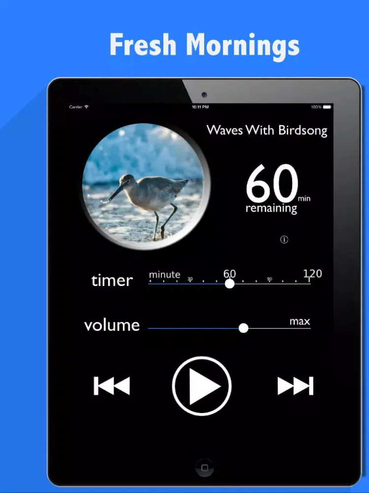 Captures d'écran de Rain - Meditate, Sleep, Relax iPad 