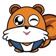 小花鼠 小花鼠