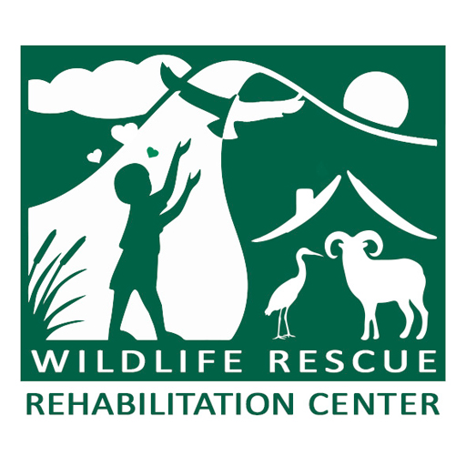 Cyprus Wildlife Rescue