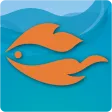 Speedy Fish