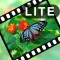 VIdeoStiller Lite - Pull out special "moments" from your video!