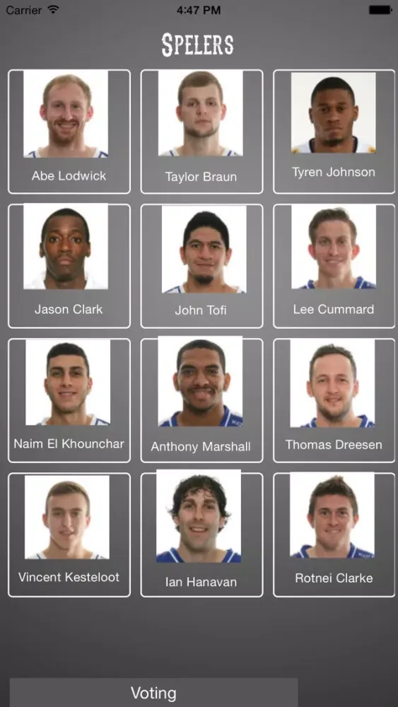 Okapi Voting应用截图